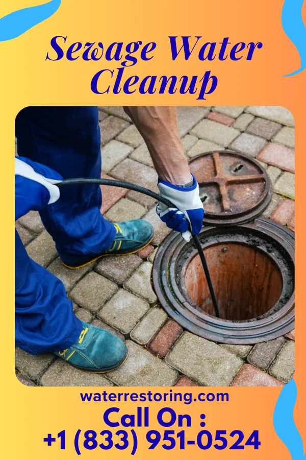 Sewage Water Cleanup in Fruita, CO